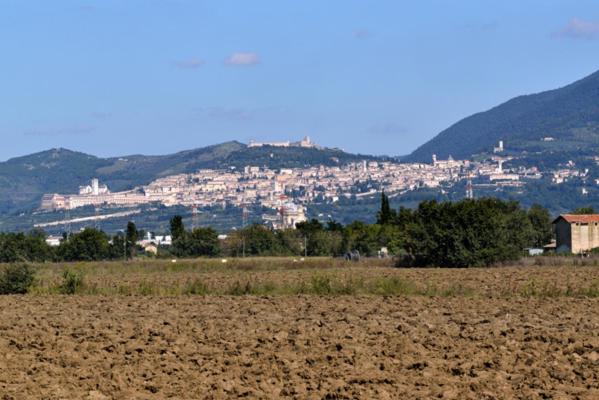 Agriturismo Bellarosa