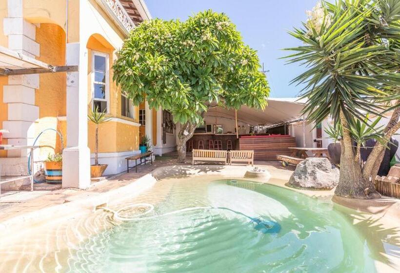 호스텔 Green Elephant Backpackers