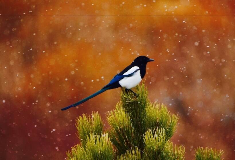 Отель 4 Seasons Inn On Fall River