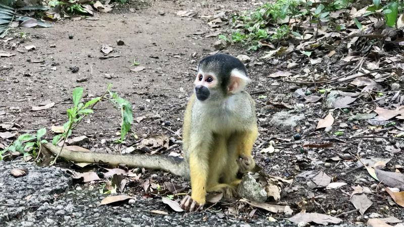 فندق Sky Ocean Ishigaki