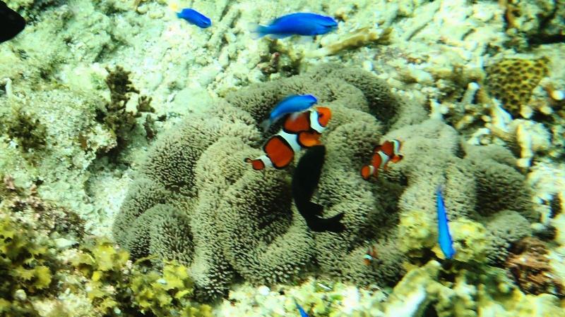 فندق Sky Ocean Ishigaki