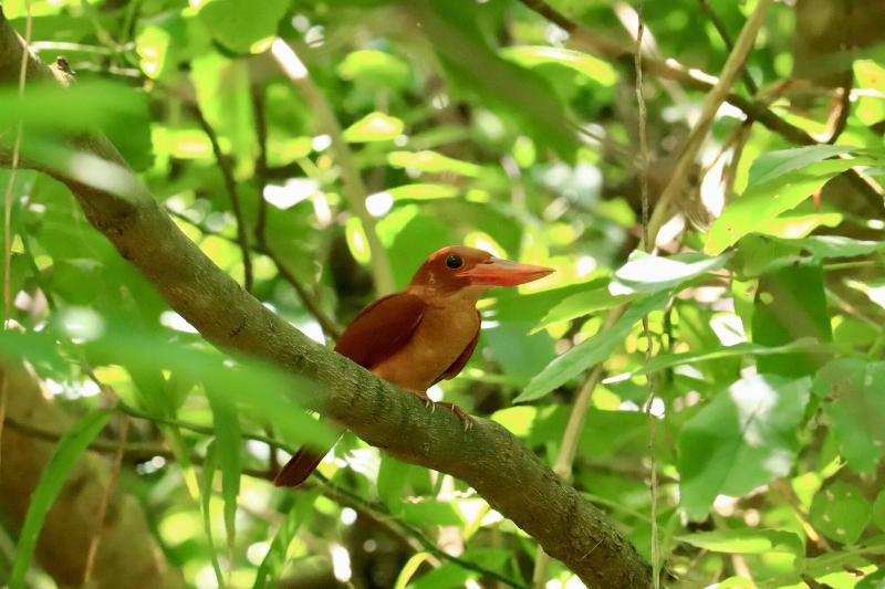 فندق Sky Ocean Ishigaki