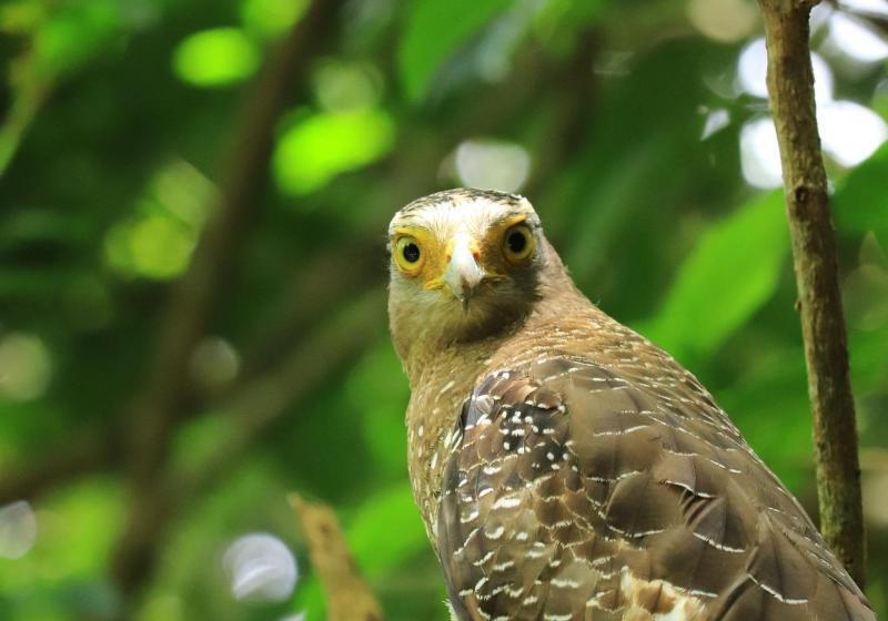 فندق Sky Ocean Ishigaki