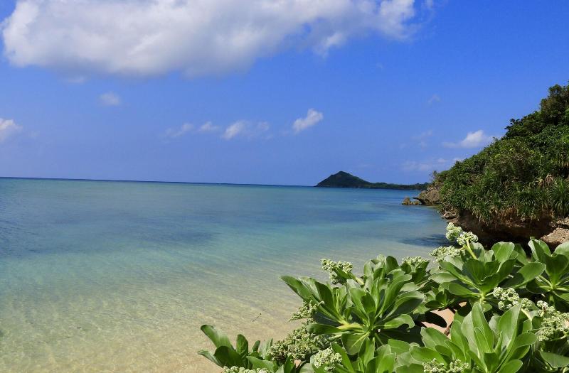 فندق Sky Ocean Ishigaki