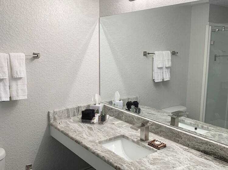 فندق Artisan Downtown