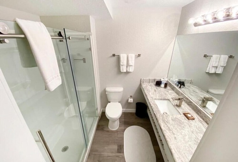 فندق Artisan Downtown