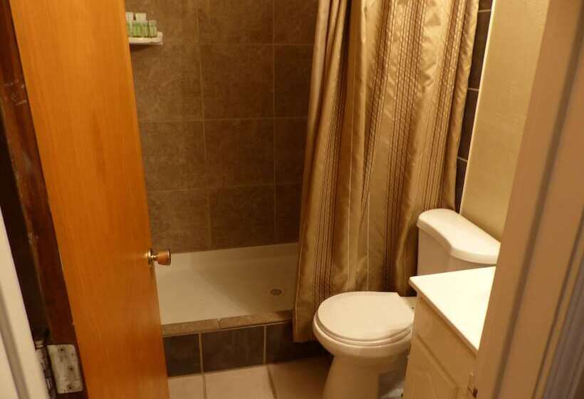 فندق Bent Prop Inn & Hostel Downtown