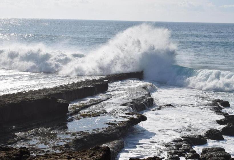 בית מלון כפרי Captains Log House