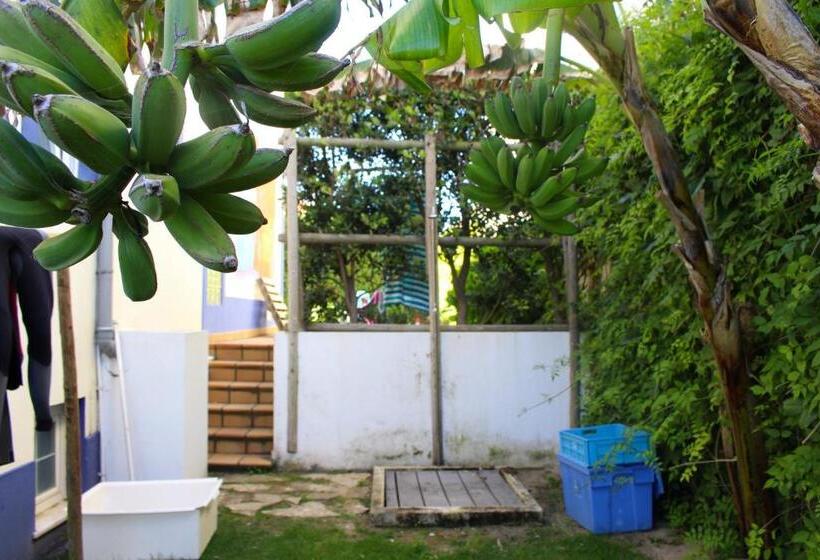 בית מלון כפרי Captains Log House