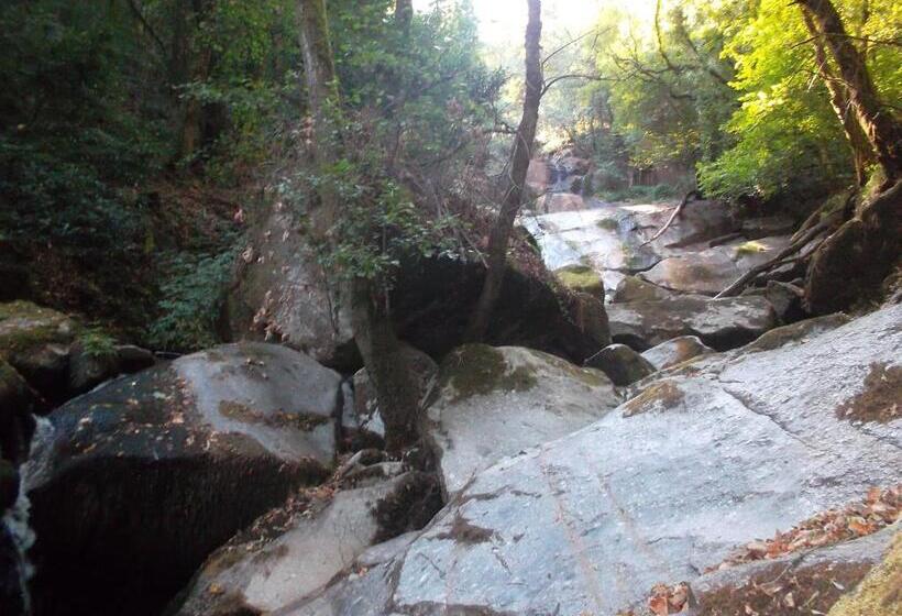 Отель Casa D`auleira