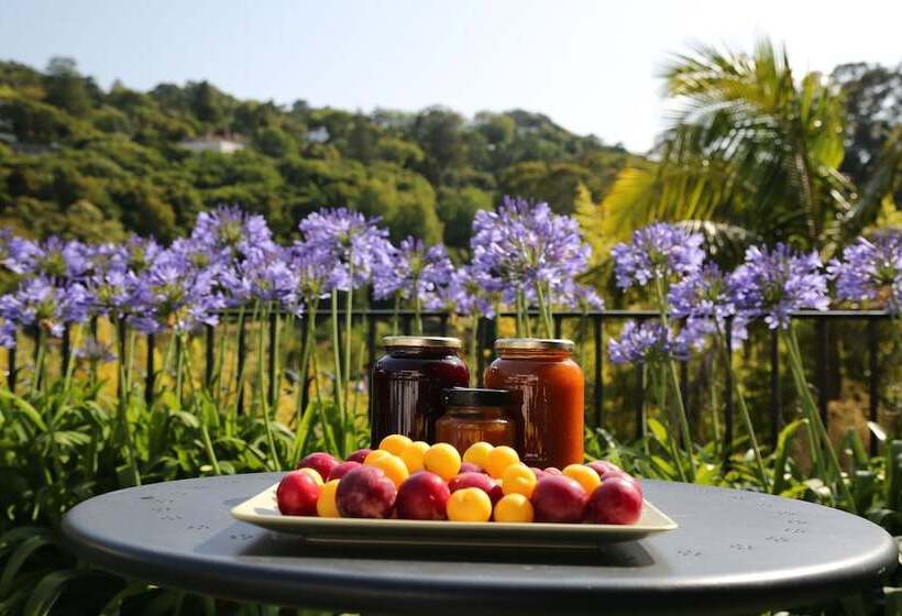 هتل Casa Do Valle