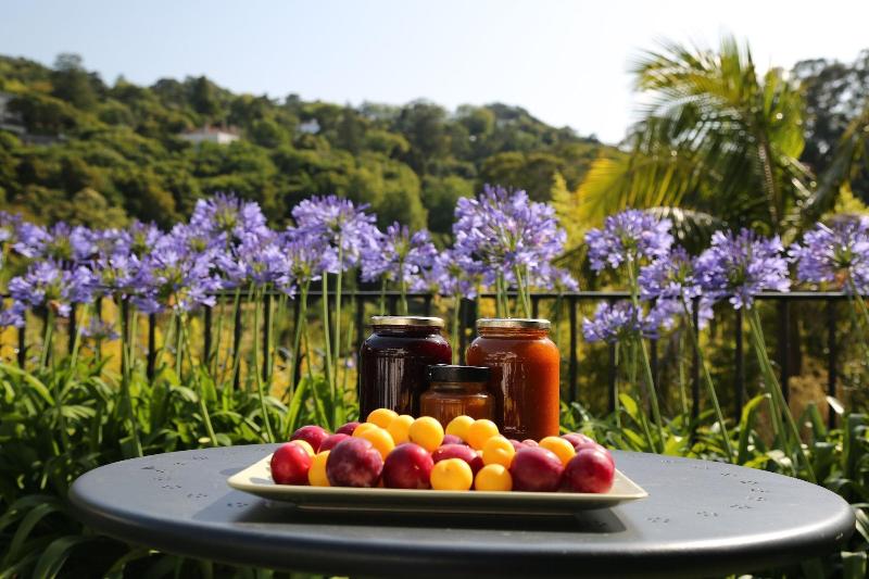 هتل Casa Do Valle