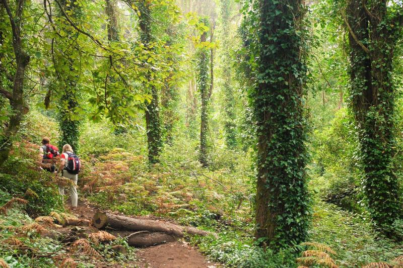 هتل Casa Do Valle