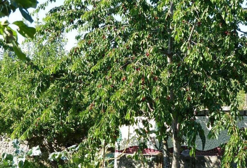 Отель Casas Do Toural