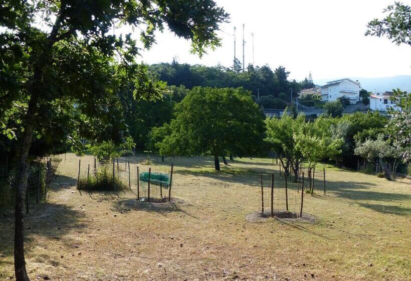 Отель Casas Do Toural