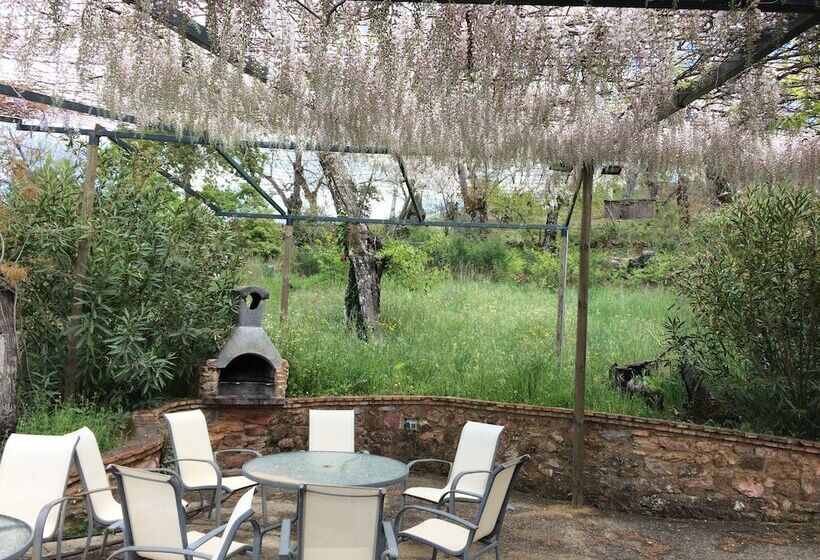 호텔 Casas Rurales Finca El Tornero