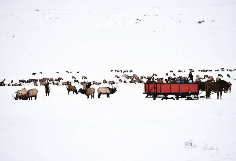 فندق Flat Creek Inn