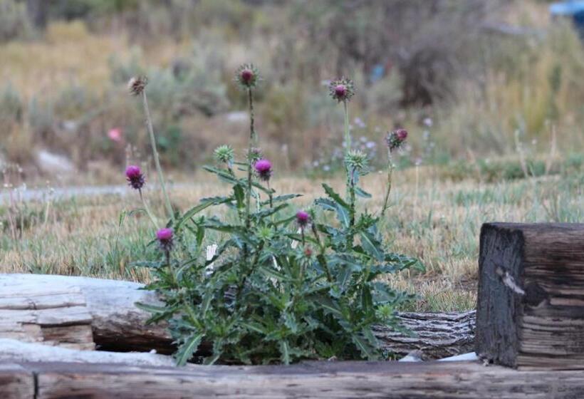 فندق Flat Creek Inn