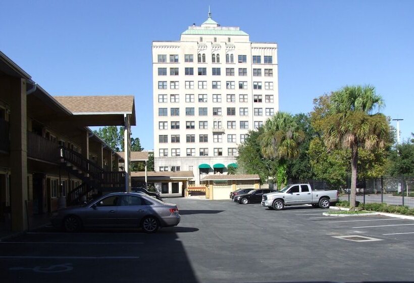 فندق Gainesville Lodge