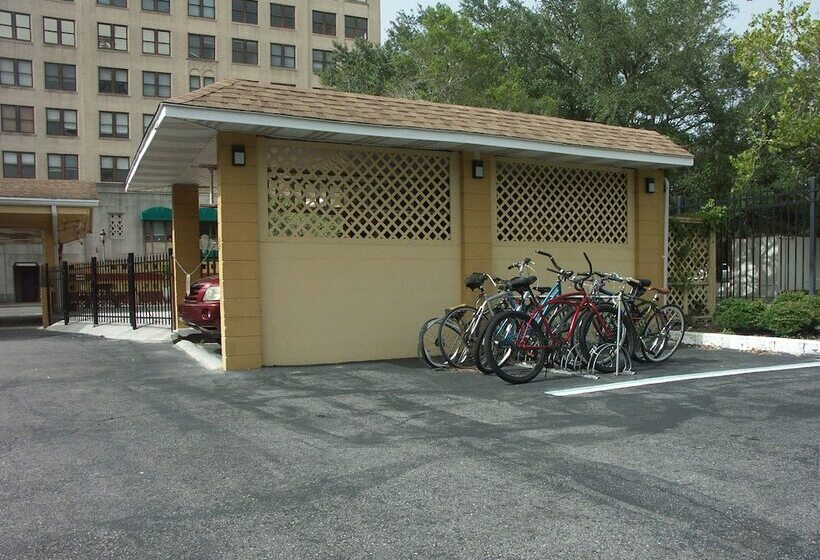 فندق Gainesville Lodge