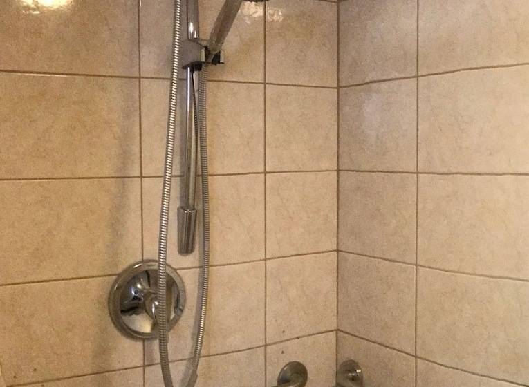 فندق Gainesville Lodge