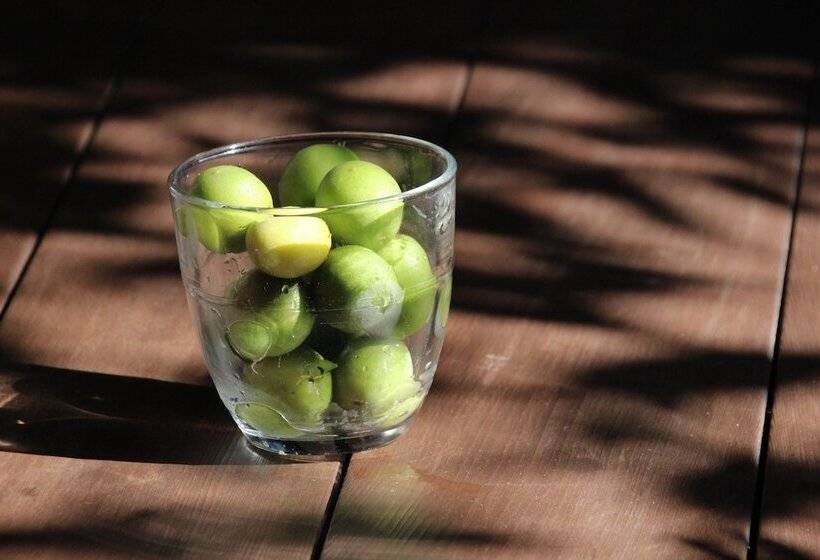 בית מלון כפרי Haruya Umekoji