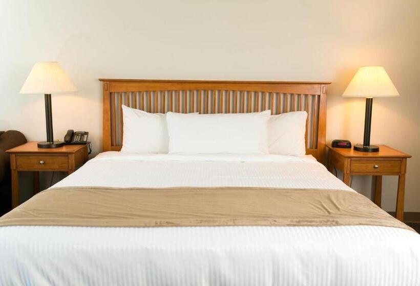 فندق High Country Suites