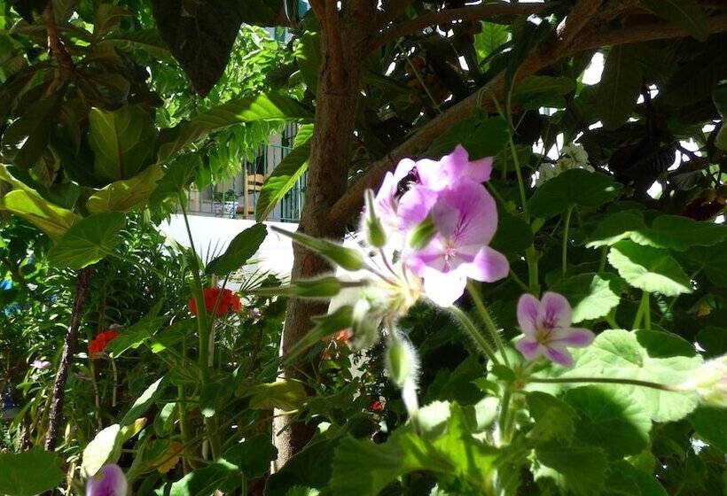 בית מלון כפרי Hostal Campo Nuevo