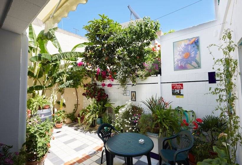 בית מלון כפרי Hostal Campo Nuevo