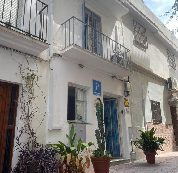 酒店 Hostal The Monkey Room