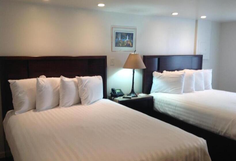 בית מלון כפרי Iron Horse Inn