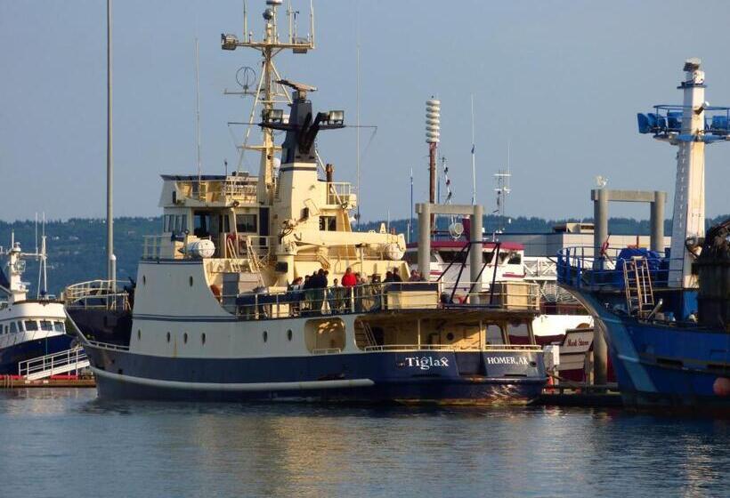 酒店 Juneberry Lodge