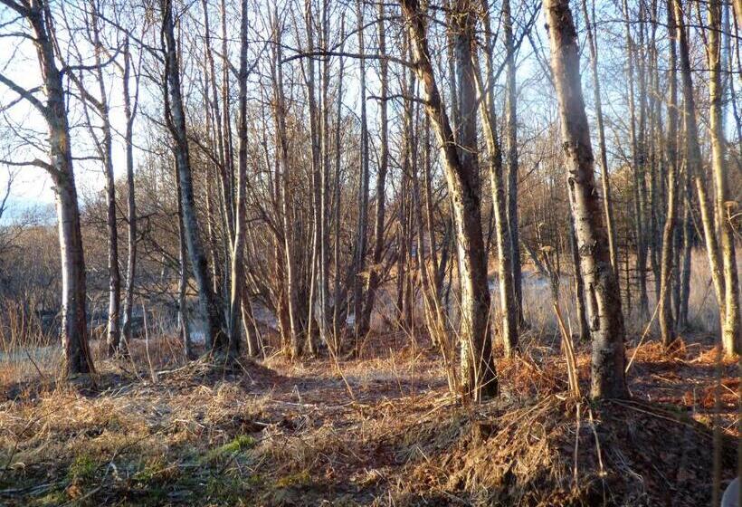 酒店 Juneberry Lodge