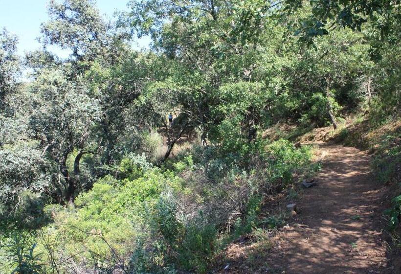 ホテル La Posada Del Infante