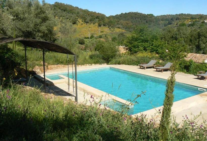 Отель Los Pozos De La Nieve