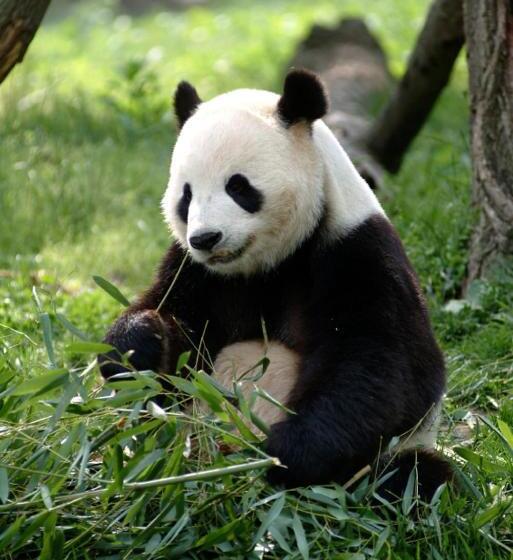 호텔 Marisol Coronado