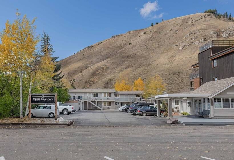 فندق Miller Park Lodge