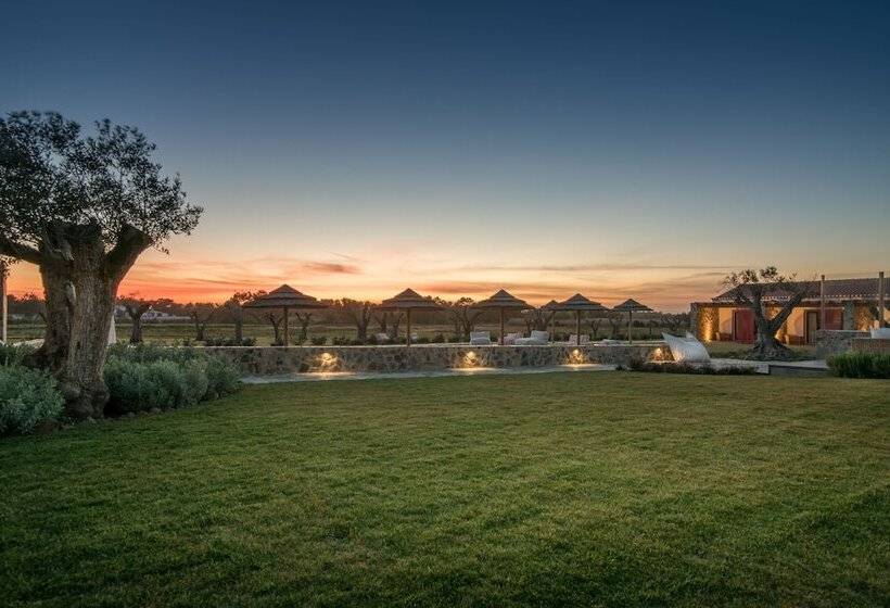 هتل Monte Do Cardal