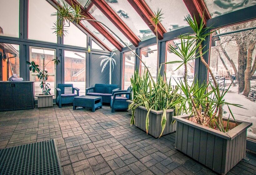 Отель Murphy's River Lodge