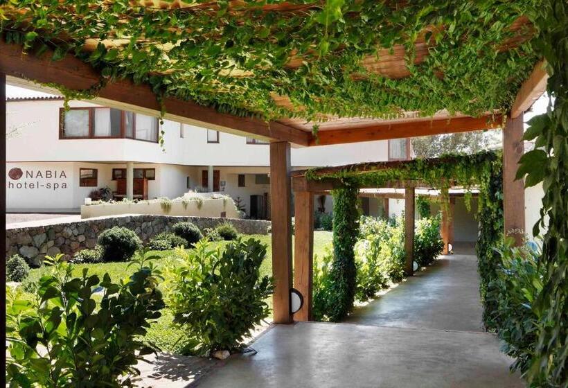 Отель Nabia