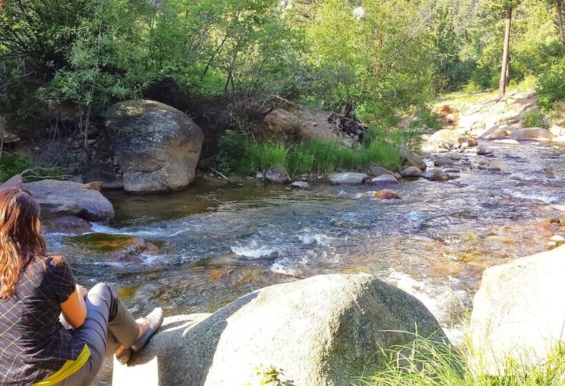 בית מלון כפרי Pine Haven Resort