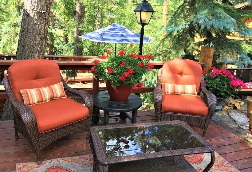 בית מלון כפרי Pine Haven Resort