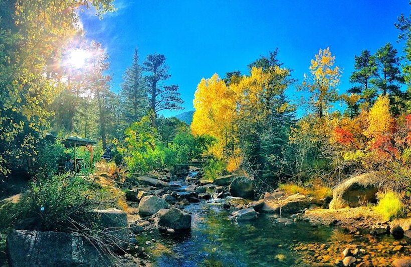 בית מלון כפרי Pine Haven Resort