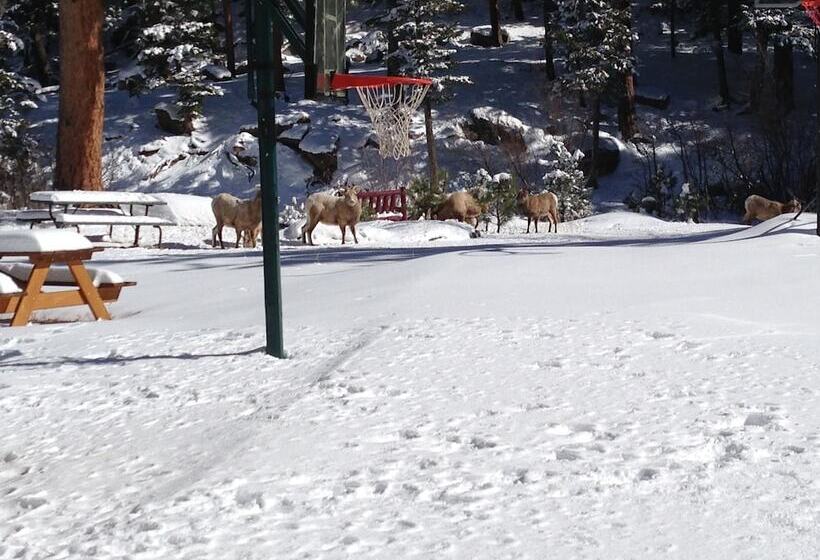 בית מלון כפרי Pine Haven Resort