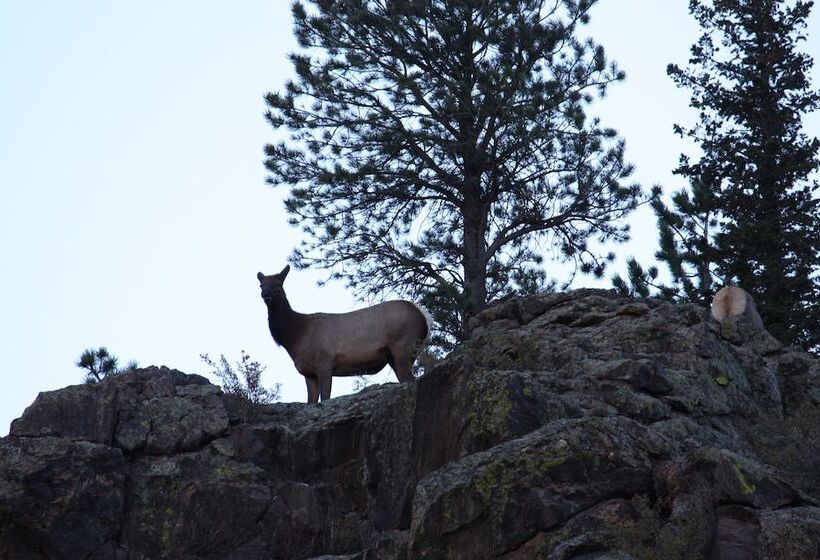 בית מלון כפרי Pine Haven Resort