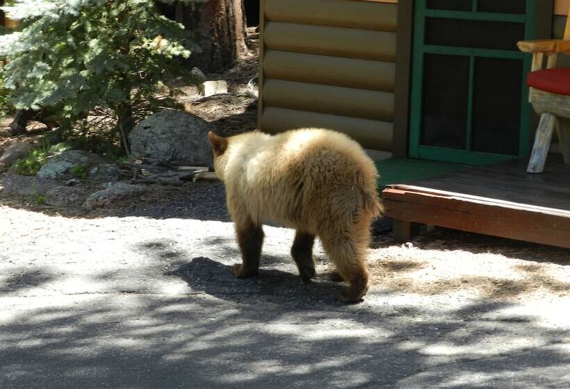 בית מלון כפרי Pine Haven Resort