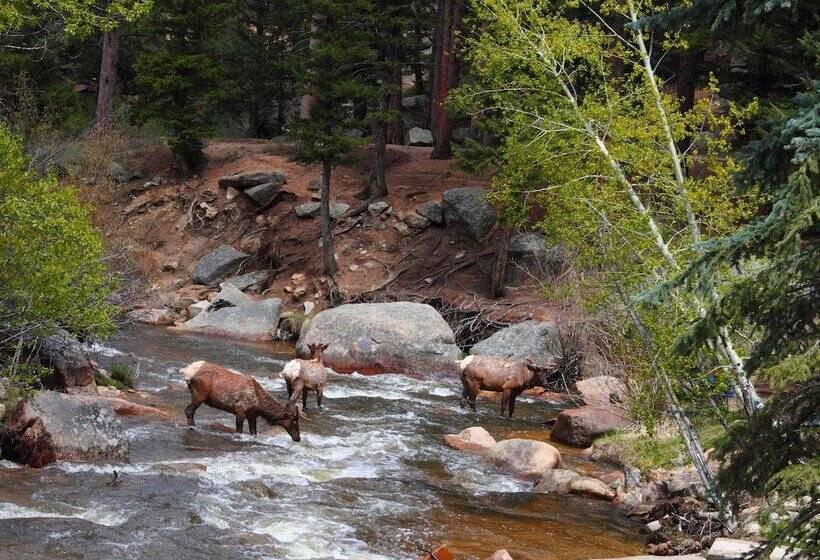 בית מלון כפרי Pine Haven Resort