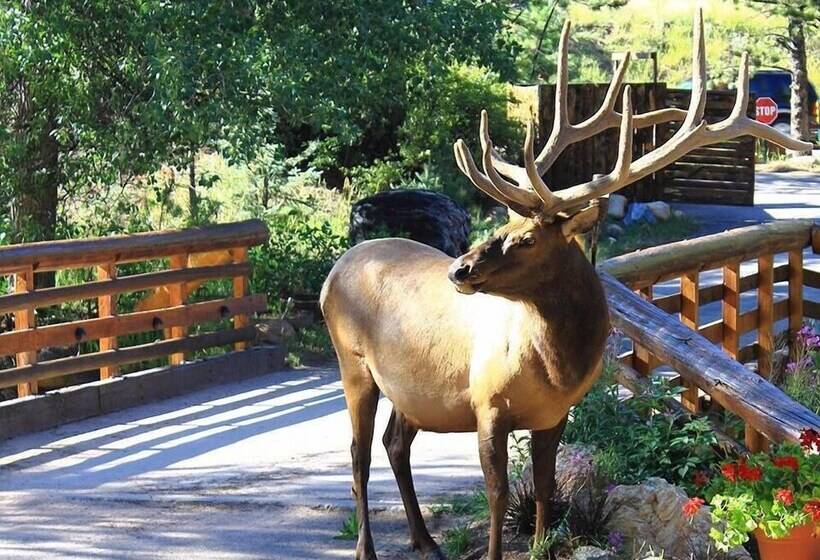 בית מלון כפרי Pine Haven Resort