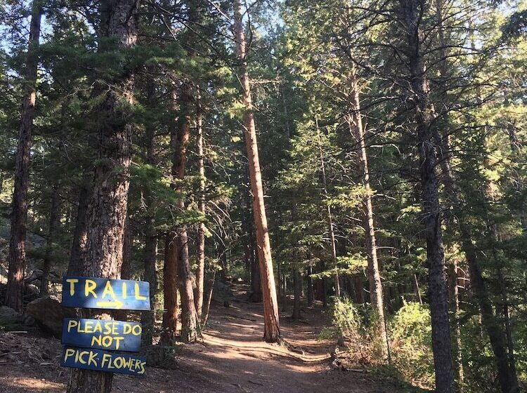 בית מלון כפרי Pine Haven Resort