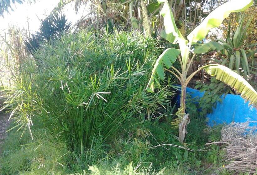 Отель Quinta Da Fornalha Santuario Agroecologico